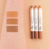 Swatch Crayon Contour Golden Rose